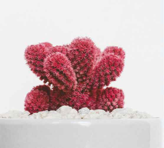 ip攻击器网页版